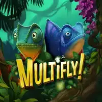 10122_Multifly!